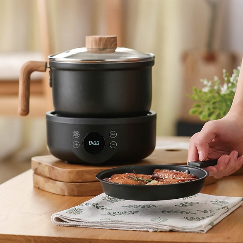 110V/220V Multi-function Elect - огляд і ціна Camping Cooking Rice