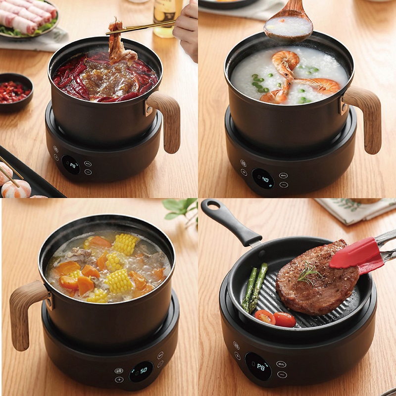110V/220V Multi-function Elect - огляд і ціна Camping Cooking Rice